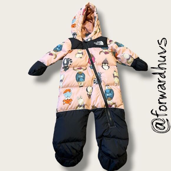 The North Face Nuptse Snowsuit Bunting Critters Print Size 18–24 M - Picture 1 of 11